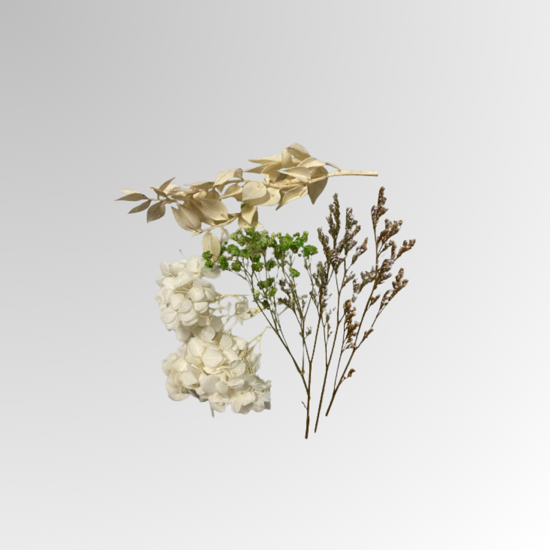 Abelia