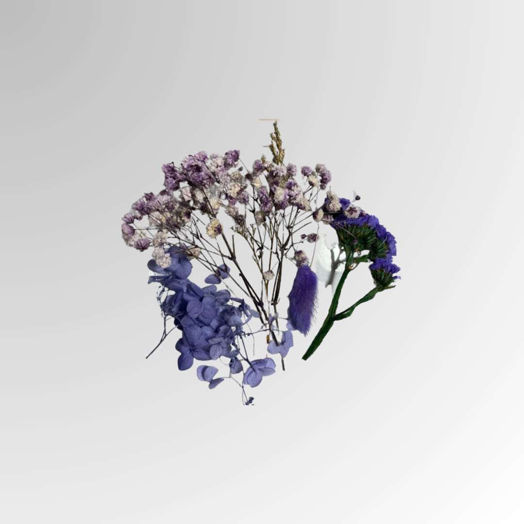 Abelia