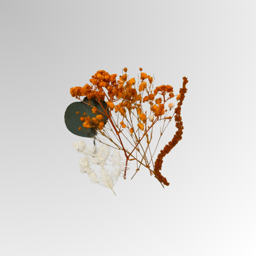 Azalea grande